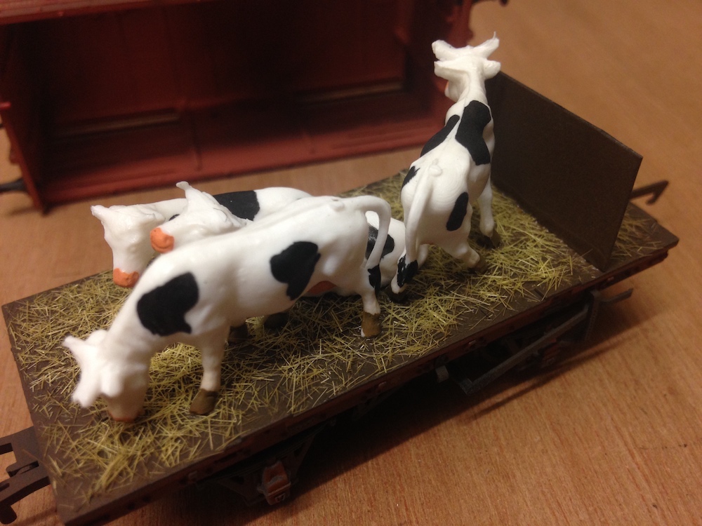 Cows put in a Cattle Wagon for a Customer